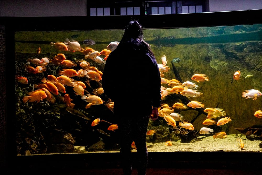 The Budapest Zoo #thortakespics